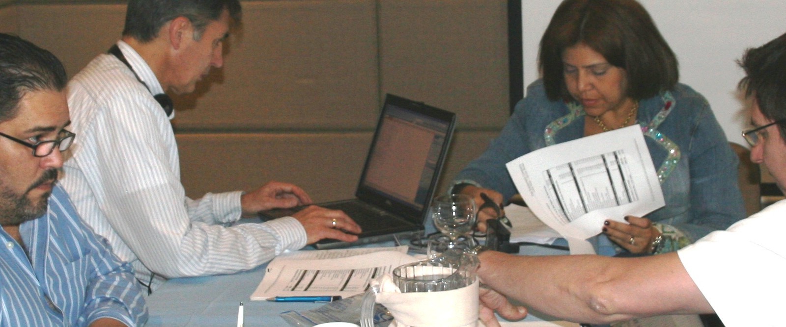 Wise Wolf Consulting