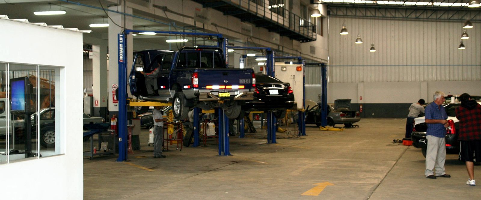 Wise Wolf Consulting