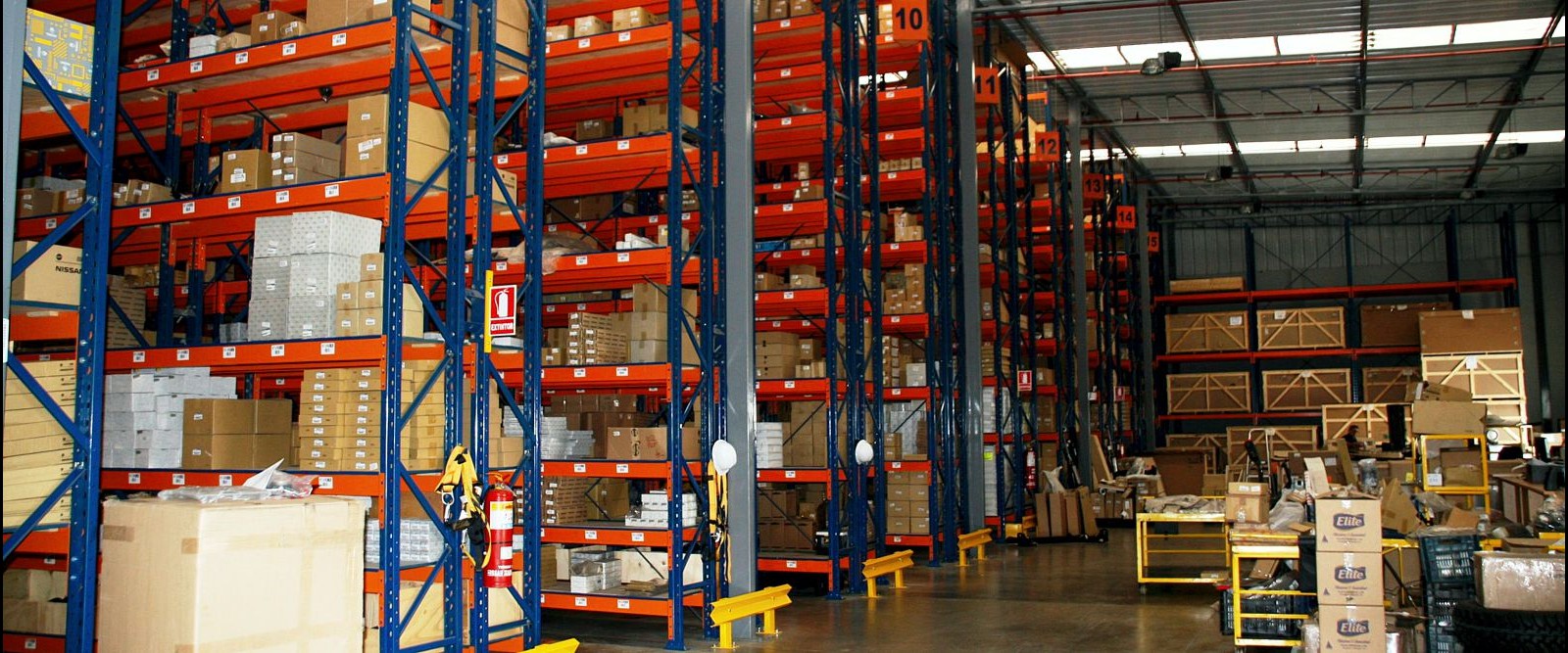 Wise Wolf Consulting