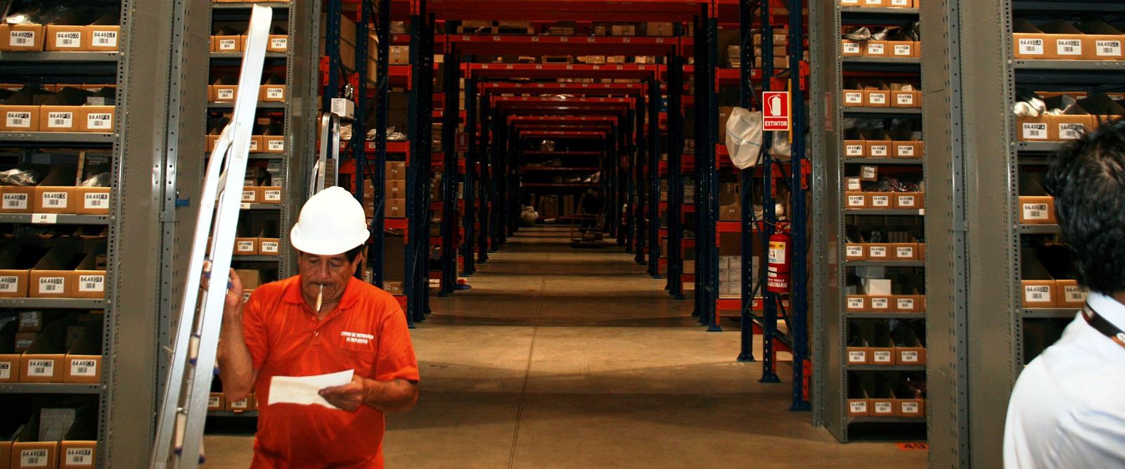 Wise Wolf Consulting