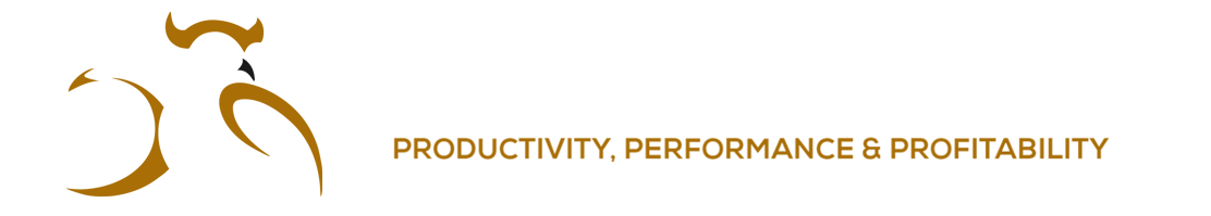 Wise Wolf Consulting